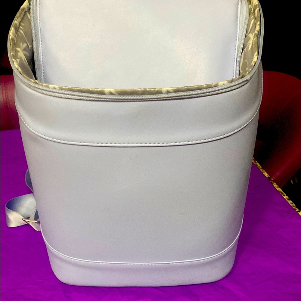 Lunch bag Light blue lunch insulated Backpack